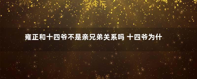 雍正和十四爷不是亲兄弟关系吗 十四爷为什么说雍正篡位